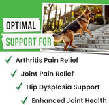 Glucosamine for Dogs - Joints Health Treats w/Omega Fish Oil - Natural Joint Pain Relief - Canine Hip and Joint Supplement w/Chondroitin + MSM + Turmeric + Calcium - 240 Beef Chews