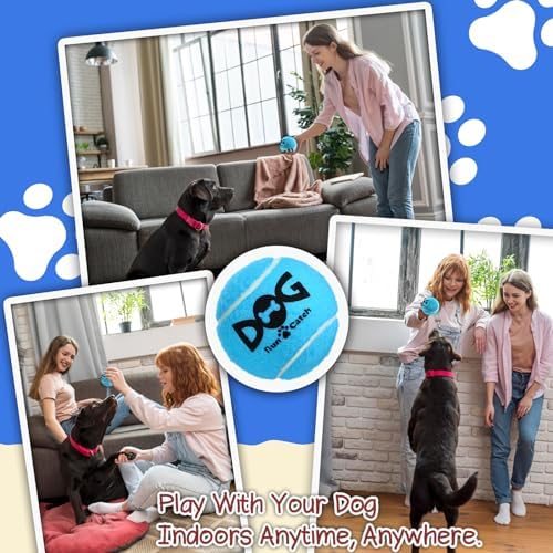 6PC Squeaky Dog Balls - Tennis Balls for Dogs,2.5''