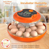 18 Egg Incubator with Automatic Egg Turning and Humidity Control, 360° View Incubators for Hatching Eggs, Incubator for Chicken Eggs, Ducks, Goose, Pigeon, Quail, Parrot Eggs (Orange)