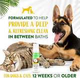 TropiClean Hypoallergenic Waterless Dog Shampoo | Dry Shampoo for Allergies & Sensitive Skin | Safe for Cats | Puppies & Kittens | No Rinse | 7.4oz