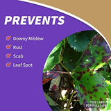 Bonide Captain Jack's Fruit Tree Spray, 128 oz Concentrate, Insect & Disease Control Spray for Organic Gardening