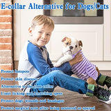 Dog Recovery Suit, Surgical Recovery Suit for Male Female Dogs Cats Spayed Onesie After Surgery, Dog Post Surgery Suit Anti Licking & Biting Surgical Shirt with Pee Hole，Purple Large