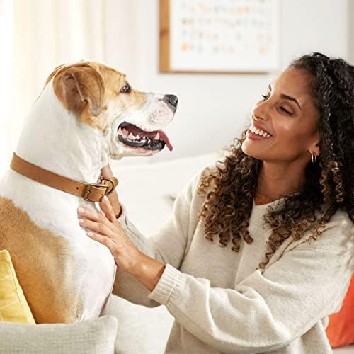 Rachael Ray Nutrish Soup Bones Dog Treats, Beef & Barley Flavor, 3 Bones (Pack of 8)