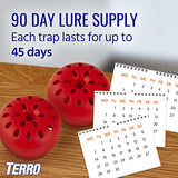 TERRO Indoor Fruit Fly Trap (2-count) | Terro Traps In – Built With Window Sinks