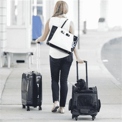 Gen7Pets Dog Carrier - Large Red Roller Bag Pet Carrier