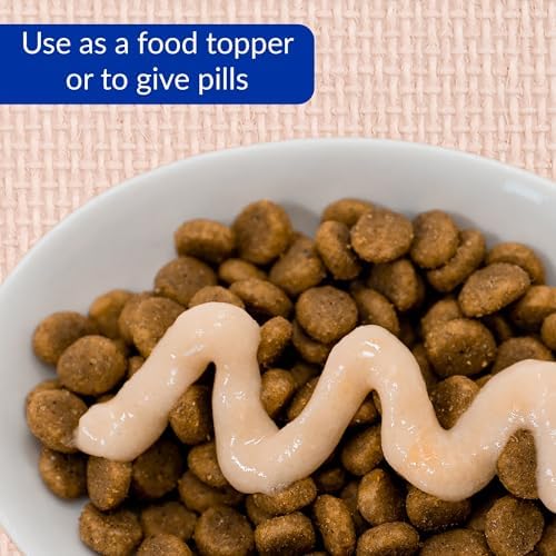 INABA Salmon Churu Cat Treats, Lickable, Squeezable Creamy Purée Cat Treat with Green Tea Extract & Taurine, 0.5 Ounces Each Tube, 60 Tubes, Salmon Variety Box