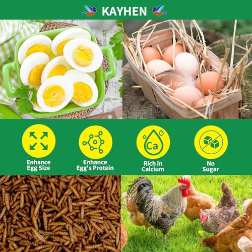 KAYHEN Dried Black Soldier Fly Larvae 10LB Non-GMO BSF Larvae for Chickens More Calcium Than Mealworms High-Protein Chickens Treats for Layer Hens Wild Birds Ducks