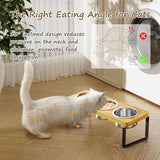 Elevated Cat Bowls with 3 Stainless Steel Bowls | 10° Tilted Anti-Vomiting Raised Cat Food Bowls for Small Cats and Puppies Pet Bowls with Stand