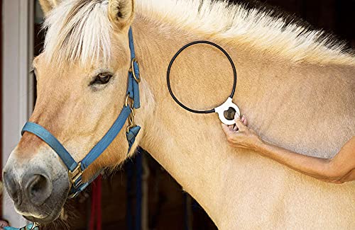 Assisi Loop 2.0 Manual tPEMF Device for Dogs, Cats, and Horses (20 cm)