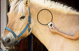 Assisi Loop 2.0 Manual tPEMF Device for Dogs, Cats, and Horses (20 cm)