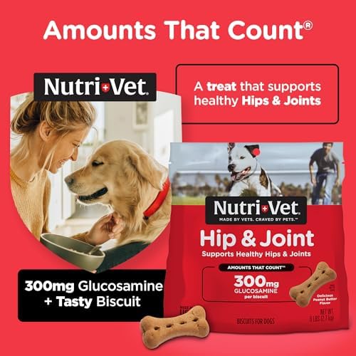 Nutri-Vet Hip & Joint Biscuits for Dogs - Tasty Dog Glucosamine Treat & Dog Joint Supplement - Large Sized Biscuit with 300mg Glucosamine - 6 lb