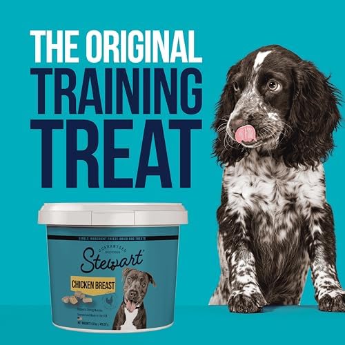 Stewart Single Ingredient Freeze Dried Raw Dog Treats, Chicken Breast, 3 Ounce Resealable Tub, Training Treats or Meal Topper for All Size Dogs, High Protein, Grain-Free, Gluten-Free