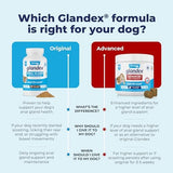 Vetnique Glandex Dog Fiber Supplement Powder for Anal Glands with Pumpkin, Digestive Enzymes & Dog Probiotics for Digestive Health - Vet Recommended - Boot The Scoot (Vegan Salmon, 2.5oz Powder)