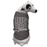 Big Bro in Training - Brother Sibling Dog Shirt (Dark Gray, Large)