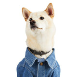 Reddy Denim Jacket for Dogs Dark Wash X-Large