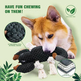 LEGEND SANDY Plush Small Dog Toys for Small Breeds, Tough Puppy Toys to Keep Them Busy, Tough Stuffed Animals Puppy Chew Toys, Squeaky Dog Toys (5 Pack Puppy Toys)