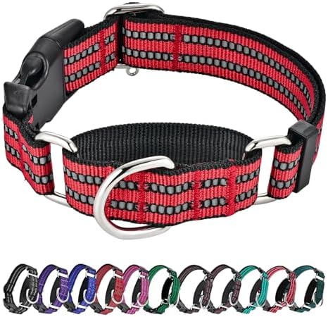 Hikiko Martingale Dog Collars Reflective Nylon Dog Collar with Quick Release Buckle Adjustable Training No Slip Dog Collar (X-Small, Red)