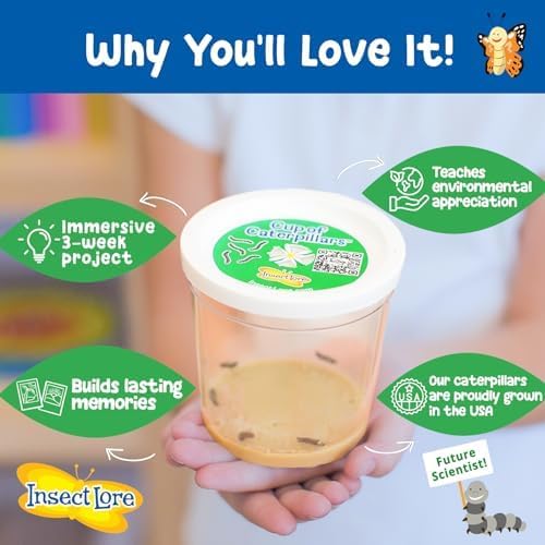 Insect Lore Butterfly Garden | As Seen On TV | 10 Live Baby Caterpillars, Habitat, Journal, Life Cycle Figurines, Seeds, Stickers, Feeder, Chrys-A-Lid Logs | Raise and Release Painted Lady Butterflies