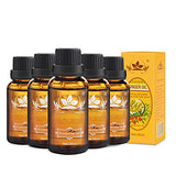 Ownest 5 Pack Ginger Massage Oil,100% Pure Natural Lymphatic Drainage Ginger Oil,SPA Massage Oils,Repelling Cold and Relaxing Active Oil-30ml
