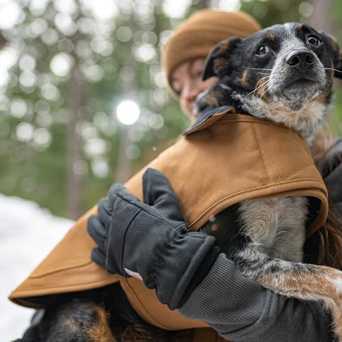 Carhartt Firm Duck Insulated Dog Chore Coat, Durable Weather Resistant Jacket for Cold and Windy Conditions, PFAS Free (Carhartt Brown), X-Large