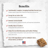 LAFEBER'S Classic Avi-Cakes Pet Bird Food, Made with Non-GMO and Human-Grade Ingredients, for Parrots (12 oz Pack of 2)