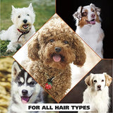 Wahl USA Dry Skin & Itch Relief Pet Shampoo for Dogs – Oatmeal Formula with Coconut Lime Verbena - 64 Oz - Model 821004-050