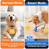 BABORUI Small Dog Toys - Interactive Ball with Cover, Keeps Puppies Busy - Electric Rolling Ball for Small/Medium Dogs (Blue)