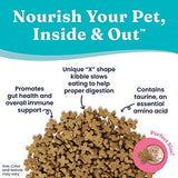 Solid Gold Dry Kitten and Cat Food for Healthy Digestion - Real Lamb, Brown Rice & Pearled Barley - 4 Pound Bag