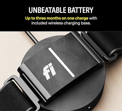 Fi Series 3 Smart Dog Collar - GPS Dog Tracker and Activity & Health Monitor, Waterproof, LED Light, Escape Alerts, Nationwide Coverage [Free 1 Year Membership] (Blue, Large)