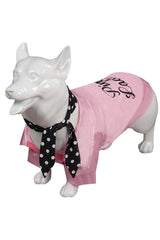 Vecborn Dogs Pink Jacket Pet Clothes Rydell School Cheerleader Pet Costume Pets Party Suit (Pink, Medium)