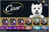 CESAR HOME DELIGHTS Adult Wet Dog Food & Classic Loaf in Sauce Variety Pack, 3.5 oz. Easy Peel Trays, 36 Count (Pack of 1)