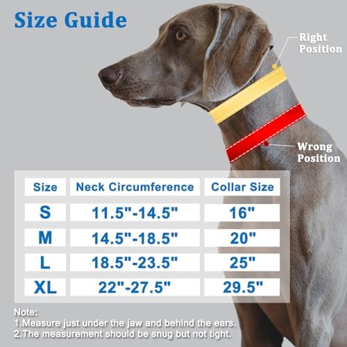 Mayerzon No Pull Dog Collar, Patented Martingale Collar for Small Medium Large Dogs with Buckle and Heavy Duty Nylon for Walking Training Hunting, Safe and Easy to Use(XL, Green)