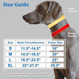 Mayerzon No Pull Dog Collar, Patented Martingale Collar for Small Medium Large Dogs with Buckle and Heavy Duty Nylon for Walking Training Hunting, Safe and Easy to Use(XL, Green)