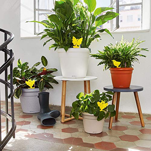 NiHome 48-Pack Yellow Sticky Traps with Twist Ties Indoor & Outdoor Plant Bug Fly Glue Catcher Nontoxic Odorless for Home Garden
