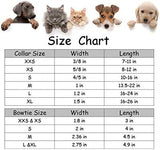 Lionet Paws Boy Dog Collar with Bowtie, Comfortable Adjustable Cute Blue Plaid Bow Tie Collar for Male Puppies and Cats Gift, XS, Neck 8-12 inches