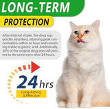 Cat Antibiotics for Infection, Natural Antibiotics for Cats, Cat Multivitamins Liquid, Cat Antibiotic Supports Immune and Cat Allergy Itch Relief, Pet Antibiotics Supplements, Chicken Flavor, 2 Fl Oz