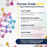 Liver Health Supplement for Small Dogs - Milk Thistle for Dogs Liver Support with S-Adenosylmethionine (Same) & Silybin - 30 Tablets