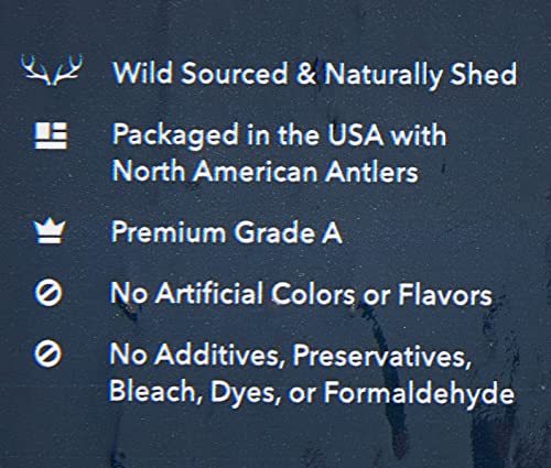 Wag Elk Antler - Whole - Long Lasting for Aggressive Chewers - X-Large 9.5-10.5 inches (Best for Dogs over 45 lbs)