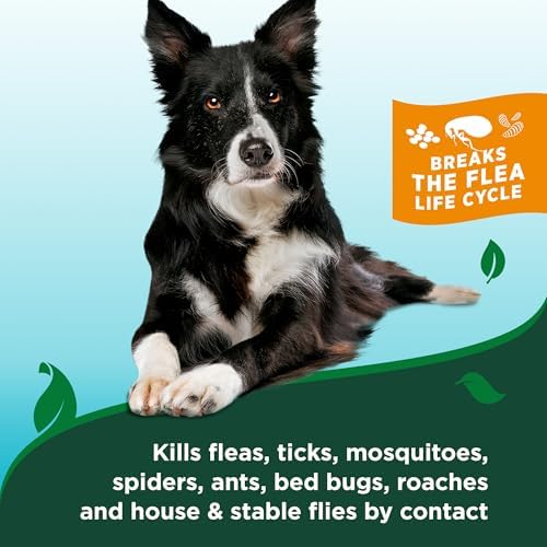 Vet’s Best Flea and Tick Advanced Strength Dog Shampoo - Dog Flea and Tick Treatment - Plant-Based Formula - Certified Natural Oils - 12 oz