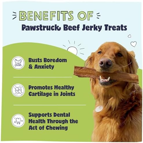 Pawstruck Premium Beef Jerky Dog Treat Chews, Large 10" Strips – Supports Hip & Joint Health, Rich in Glucosamine & Chondroitin, No Added Preservatives – 15 Count