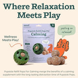 WOOF Pupsicle Refill Pops for Calming - Calming Dog Treats - Long-Lasting Refills for The Pupsicle Toy to Promote Calm - Magnesium for Dogs- Small Pops - 10 Count