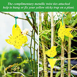NiHome 48-Pack Yellow Sticky Fruit Fly Catcher Plant Bug Traps+25PCS Twist Ties, 6 Patterns Indoor/Outdoor Nontoxic Odorless