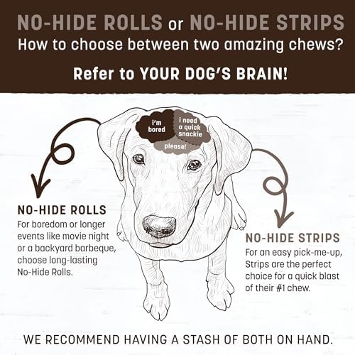 Earth Animal No Hide Strips Holiday Feast Flavored Natural Treats | No Rawhide | Quick & Thin Dog Chews | 1 Pack, 4 Count