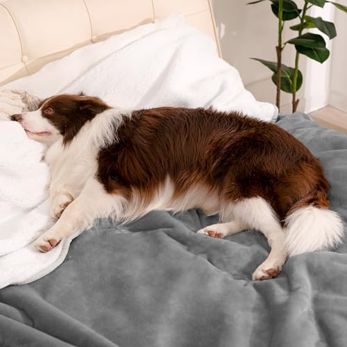gogobunny Waterproof Bed Blanket, Reversible Sherpa Fleece Throw Blanket for Dog Puppy Cat, Furniture Cover Protects Bed Couch Sofa from Liquid Pee and Pet Fur (Grey, 50x60 inches)