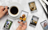 Fujifilm instax Mini Instant Film (50 Exposures: 10 of Each) Black Frame, Spray Art, Monochrome, Contact Sheet, Stone Gray Variety Pack + BluebirdSales Accessories Bundle + Black Photo Album