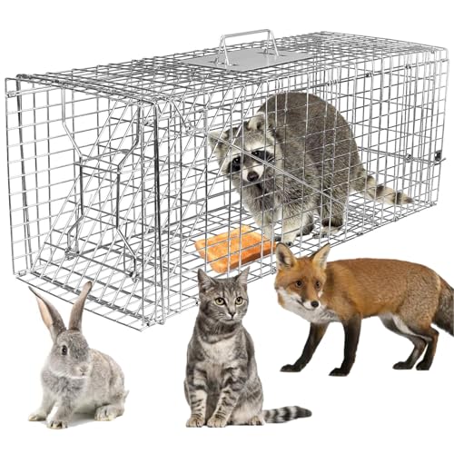 KOCASO Large Live Animal Trap Cage, Foldable Heavy Duty Humane Rat Trap for Indoor and Outdoor, Metal Mouse Trap for Squirrel Gopher Chipmunk Mice Raccoon, Easy to Catch and Release 31"x11"x12"