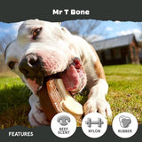 Barkbox Super Chewer Tough Dog Chew Toys for Aggressive Chewers, Dental Stimulating (T Bone - Large)