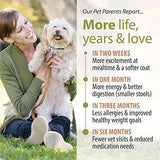 JustFoodForDogs DIY Nutrient Blend for Homemade Dog Food, Fish & Sweet Potato Recipe, 5.92oz