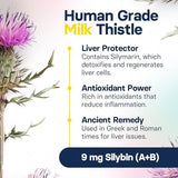 Liver Health Supplement for Small Dogs - Milk Thistle for Dogs Liver Support with S-Adenosylmethionine (Same) & Silybin - 30 Tablets