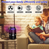 Fruit Fly Traps for Indoors, Indoor Bug Zapper, Mosquito Trap, Gnat Traps for House Indoor, Insect Trap with 5 Sticky Glue Boards, Black